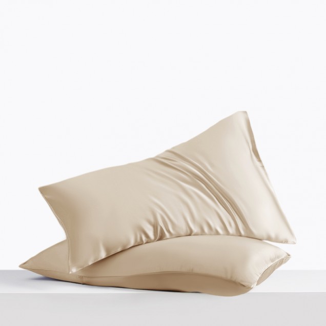 Cheap Beige Envelope 22 Momme Mulberry Silk Pillowcase