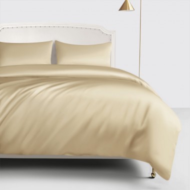 Cheap Champagne 22 Momme Mulberry Silk Duvet Cover