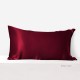 Cheap Claret 22 Momme Mulberry Silk Pillowcase with Hidden Zipper