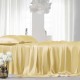 Cheap Gold 22 Momme Mulberry Silk Flat Sheet